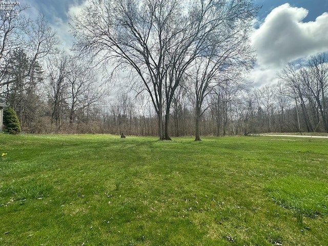view of yard featuring a view of trees