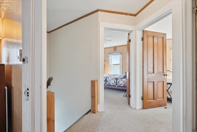 218 Lakefront, Lakeside, OH 43440 - corridor featuring carpet and ornamental molding
