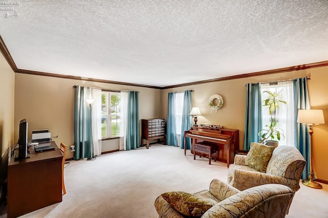 living area with ornamental molding, light carpet, and a textured ceiling