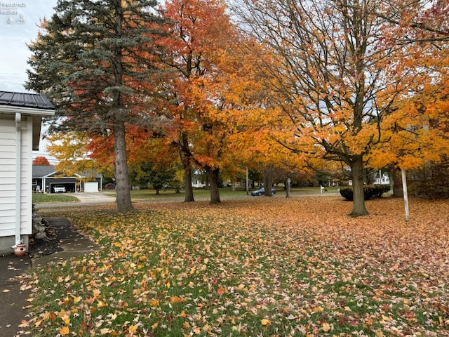 view of yard with a garage