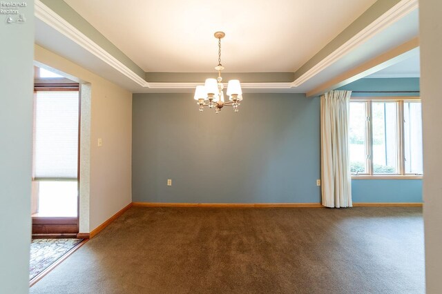 spare room with a raised ceiling, carpet flooring, and plenty of natural light