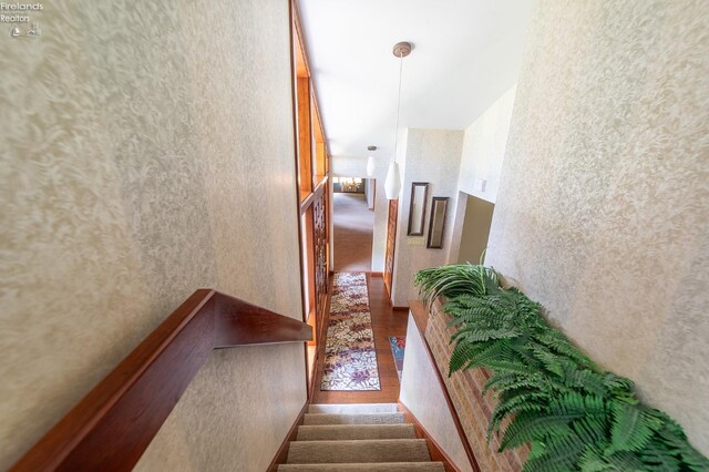 stairs featuring wood-type flooring