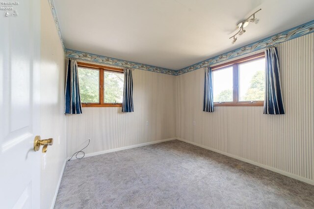 carpeted spare room with track lighting and plenty of natural light