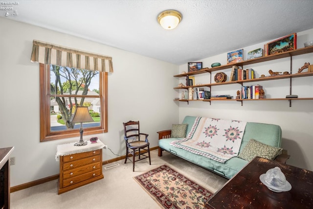 sitting room with light carpet and a textured ceiling