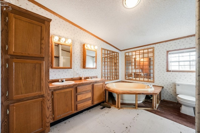 bathroom featuring a textured ceiling, sink, lofted ceiling, and ornamental molding