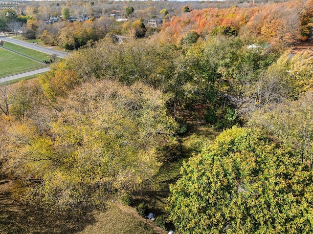 bird's eye view