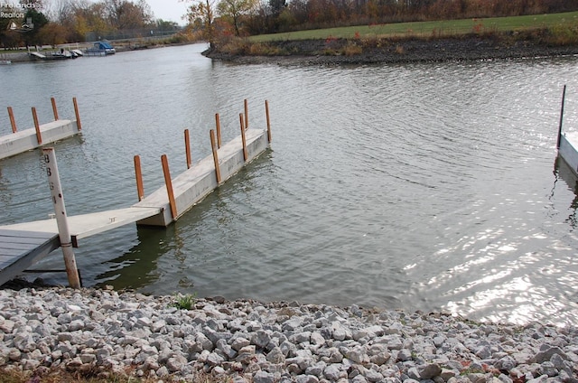 dock area featuring a water view