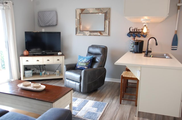 living room featuring light hardwood / wood-style floors and sink