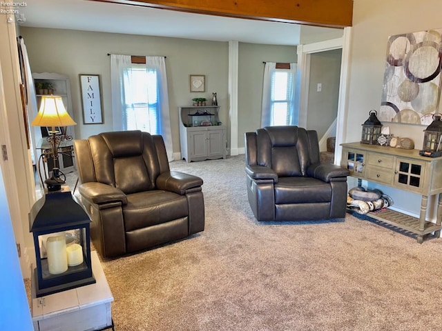 living room with carpet floors