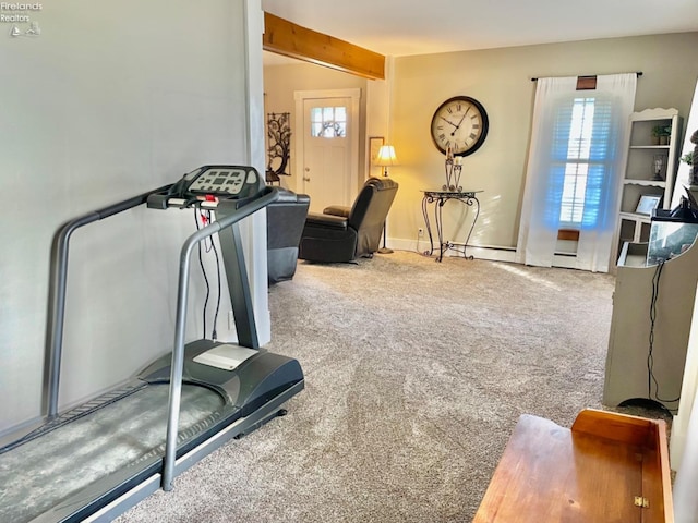 workout area featuring a healthy amount of sunlight and carpet