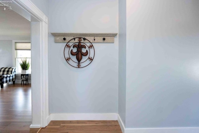 room details featuring wood-type flooring