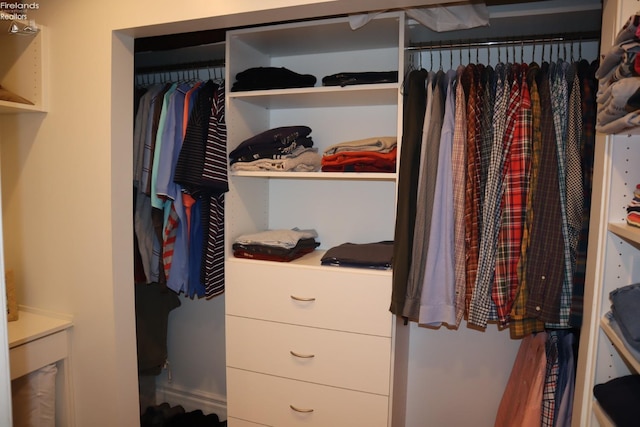 view of spacious closet