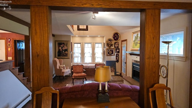 living room featuring hardwood / wood-style flooring, a healthy amount of sunlight, and a baseboard heating unit