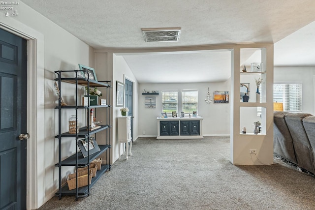 interior space featuring lofted ceiling and a textured ceiling