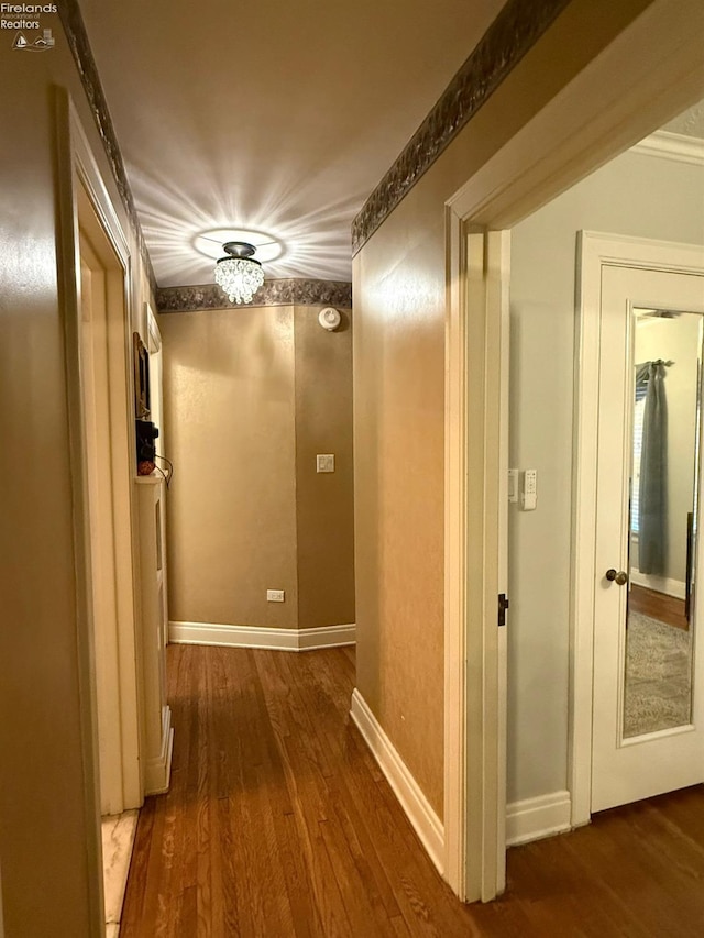 corridor featuring dark hardwood / wood-style flooring and ornamental molding