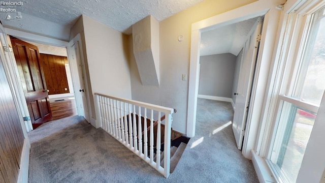 hall featuring light carpet, a healthy amount of sunlight, and a textured ceiling
