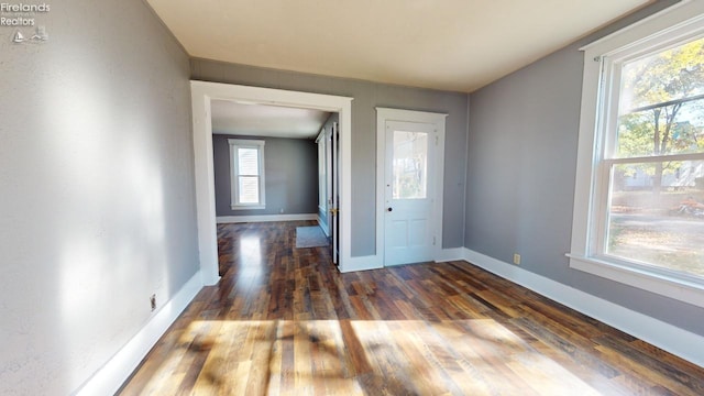 entryway with a wealth of natural light and dark wood-type flooring
