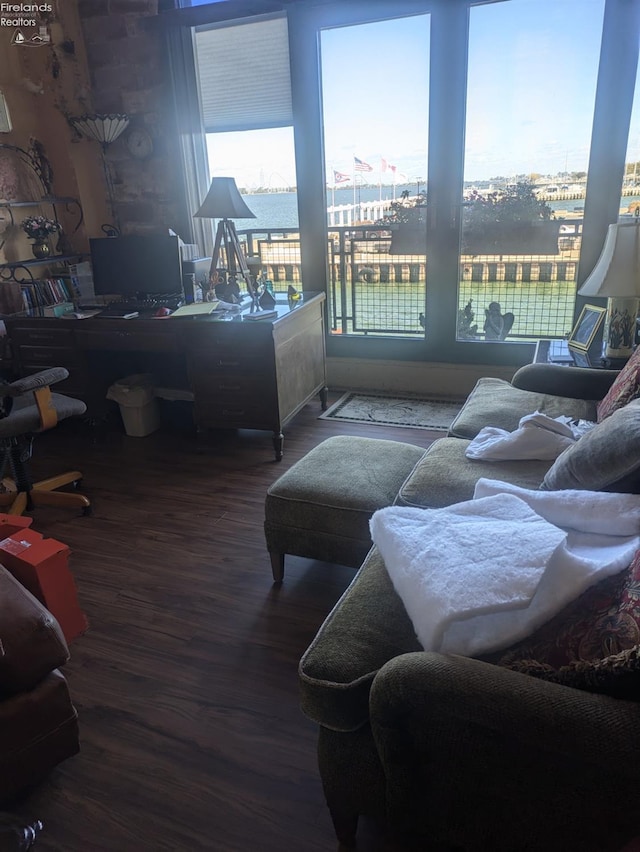 living room featuring hardwood / wood-style floors