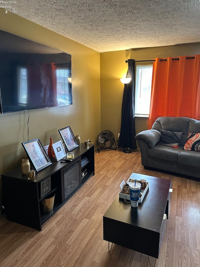 living room featuring hardwood / wood-style floors and a textured ceiling