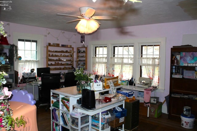 dining space with ceiling fan, dark hardwood / wood-style floors, and a textured ceiling