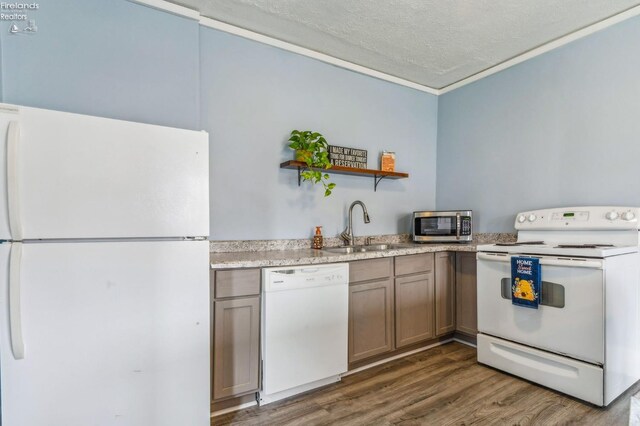 kitchen featuring a textured ceiling, white appliances, dark hardwood / wood-style floors, and sink