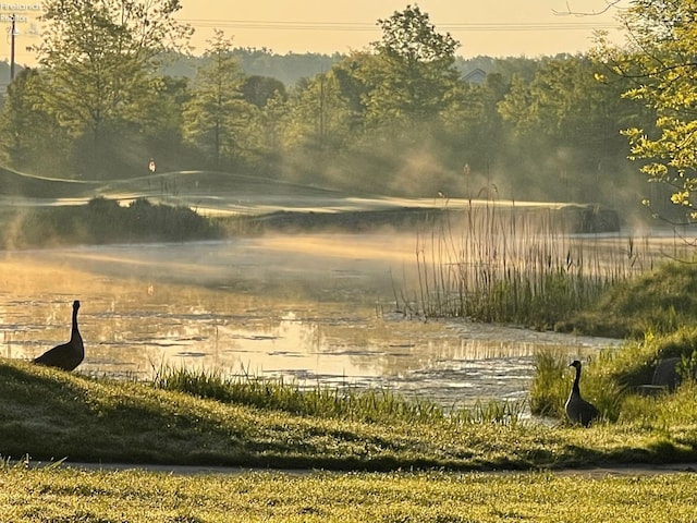 property view of water