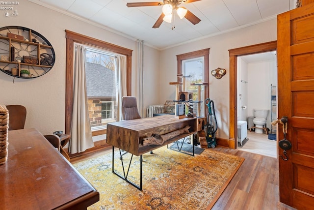 office with light hardwood / wood-style flooring, ceiling fan, and crown molding