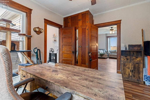 office featuring ceiling fan, crown molding, and dark wood-type flooring