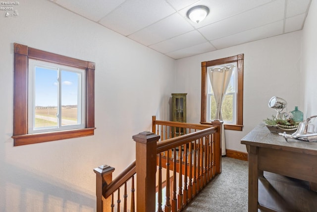 hall featuring carpet flooring, a paneled ceiling, and a wealth of natural light