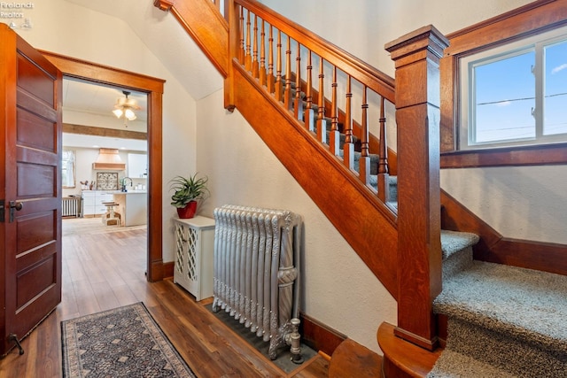 staircase featuring hardwood / wood-style flooring, radiator, and sink