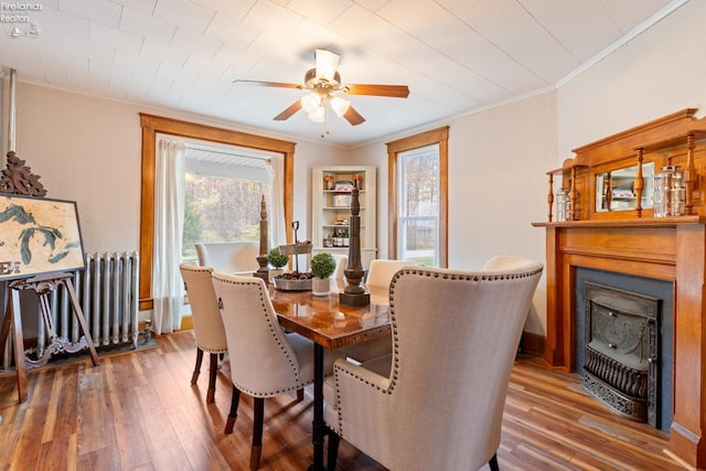 dining area with dark hardwood / wood-style floors, ceiling fan, radiator heating unit, and ornamental molding