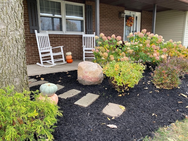 view of yard with a porch