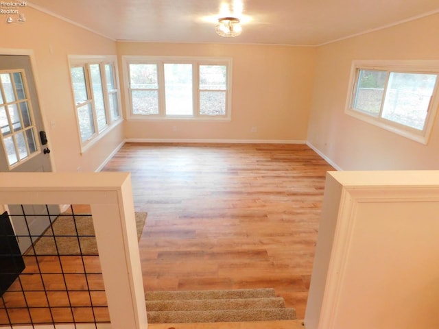 interior space featuring crown molding and hardwood / wood-style floors