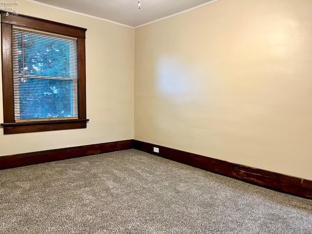 carpeted empty room featuring crown molding