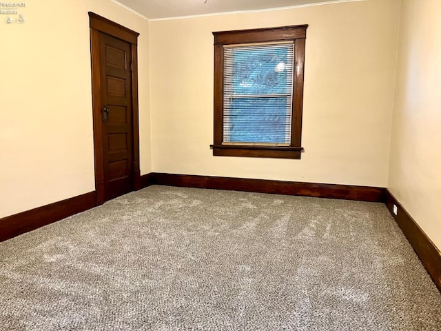 carpeted empty room featuring ornamental molding