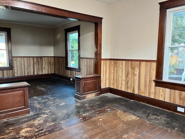 unfurnished room with dark hardwood / wood-style floors, plenty of natural light, and wooden walls