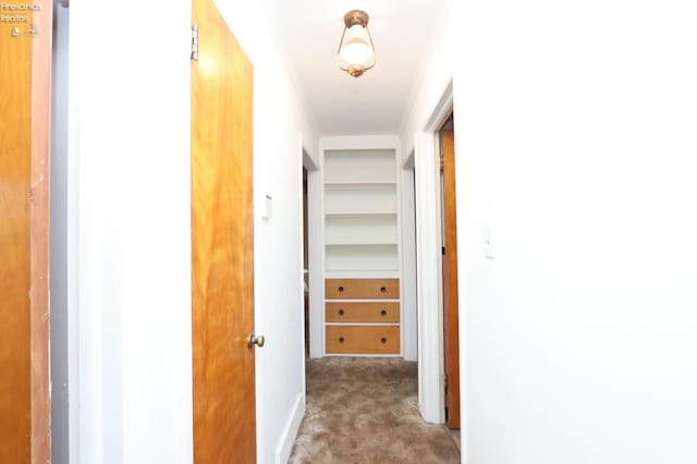 hall featuring light colored carpet and ornamental molding