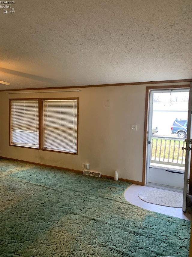 interior space with carpet flooring, a textured ceiling, and ornamental molding