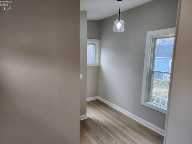 empty room featuring light hardwood / wood-style floors and plenty of natural light