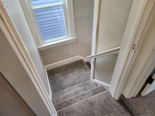 staircase featuring carpet floors