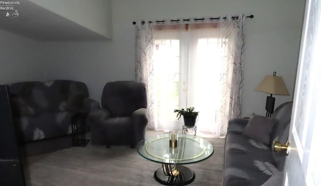 sitting room featuring wood-type flooring