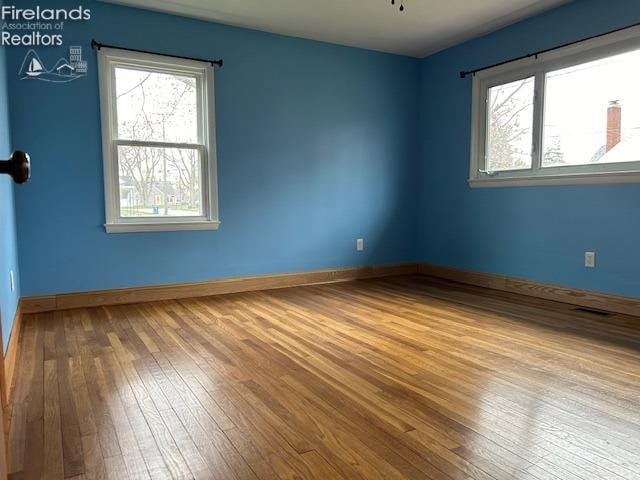 spare room with light wood-type flooring and a wealth of natural light