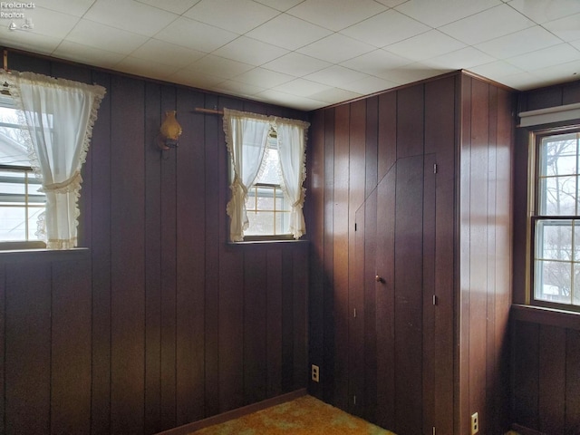 interior space with a healthy amount of sunlight and wooden walls