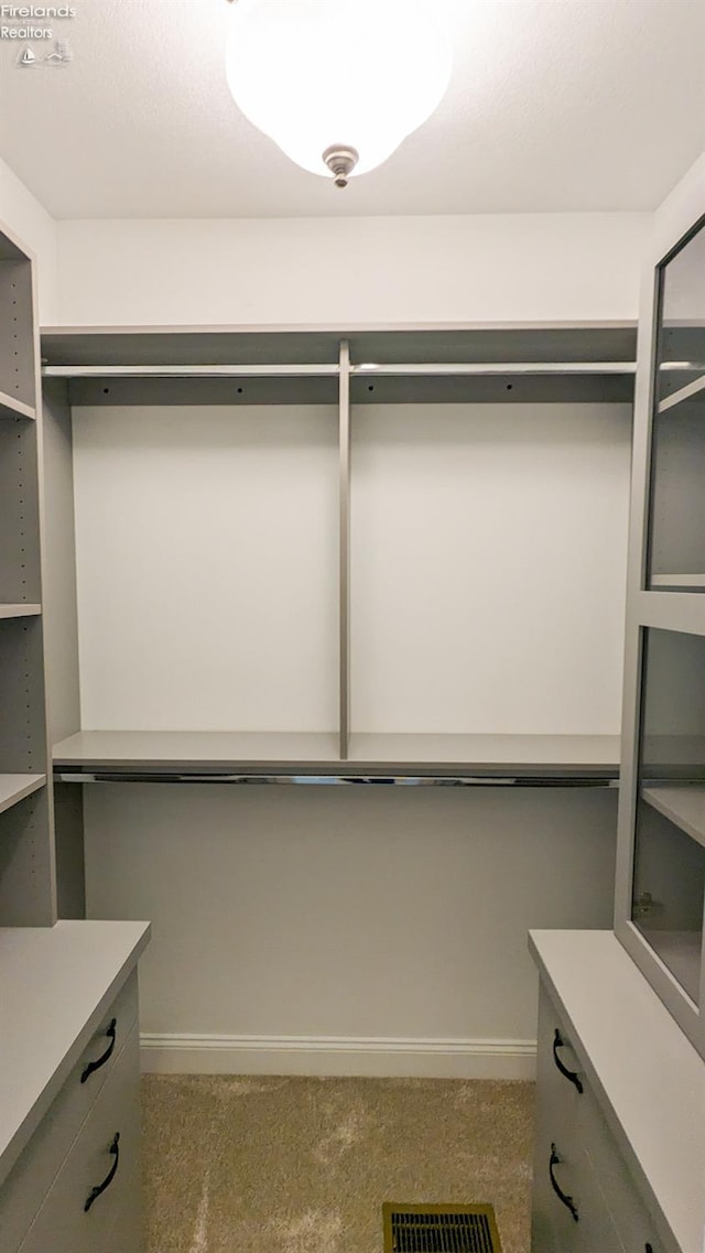 spacious closet featuring carpet