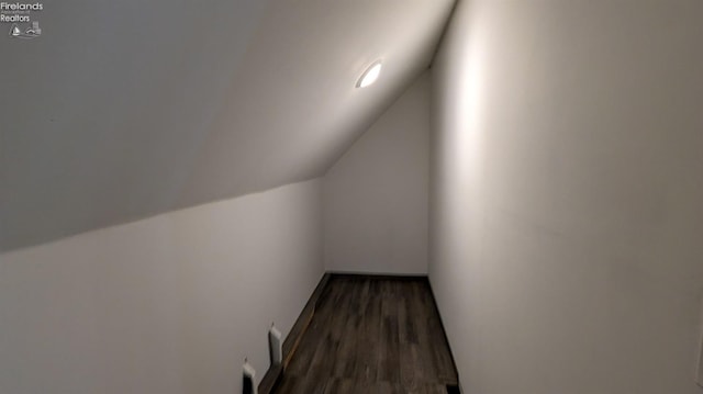 interior space with lofted ceiling and dark wood-type flooring