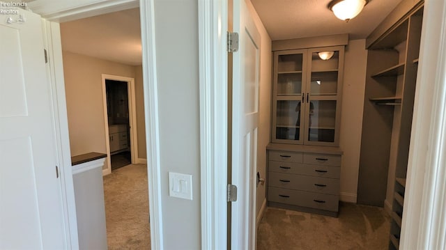 walk in closet with carpet flooring