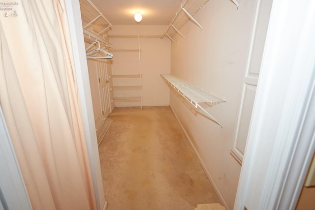 spacious closet with light colored carpet