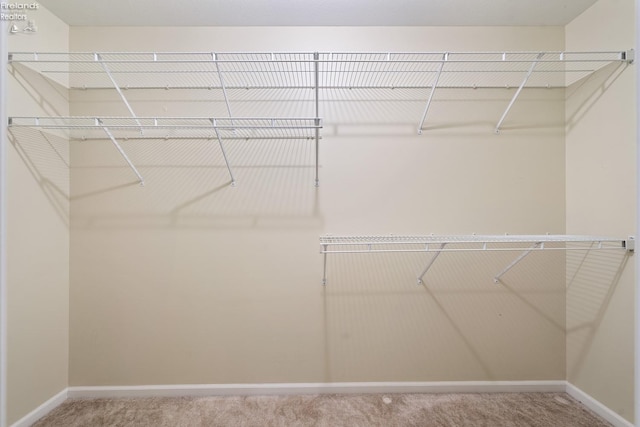 walk in closet featuring carpet