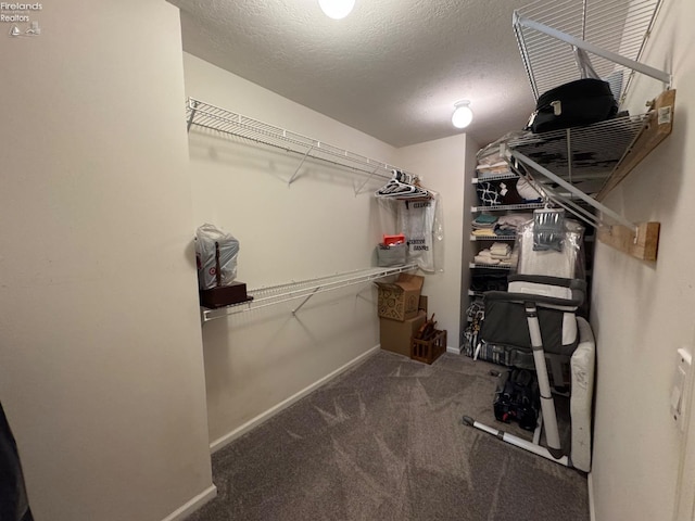 spacious closet featuring carpet