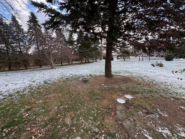 view of yard layered in snow